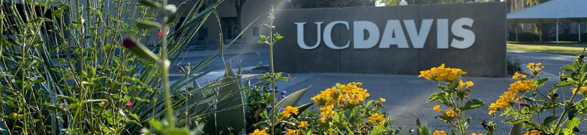An entrance to the UC Davis Campus.
